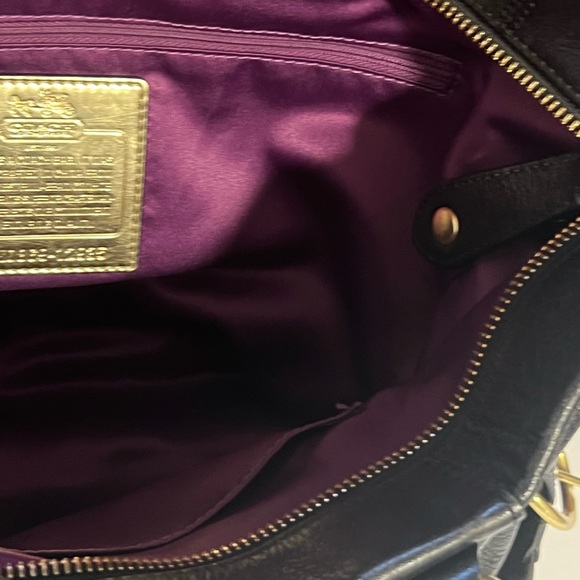 Beautiful Coach - Picture 15 of 15